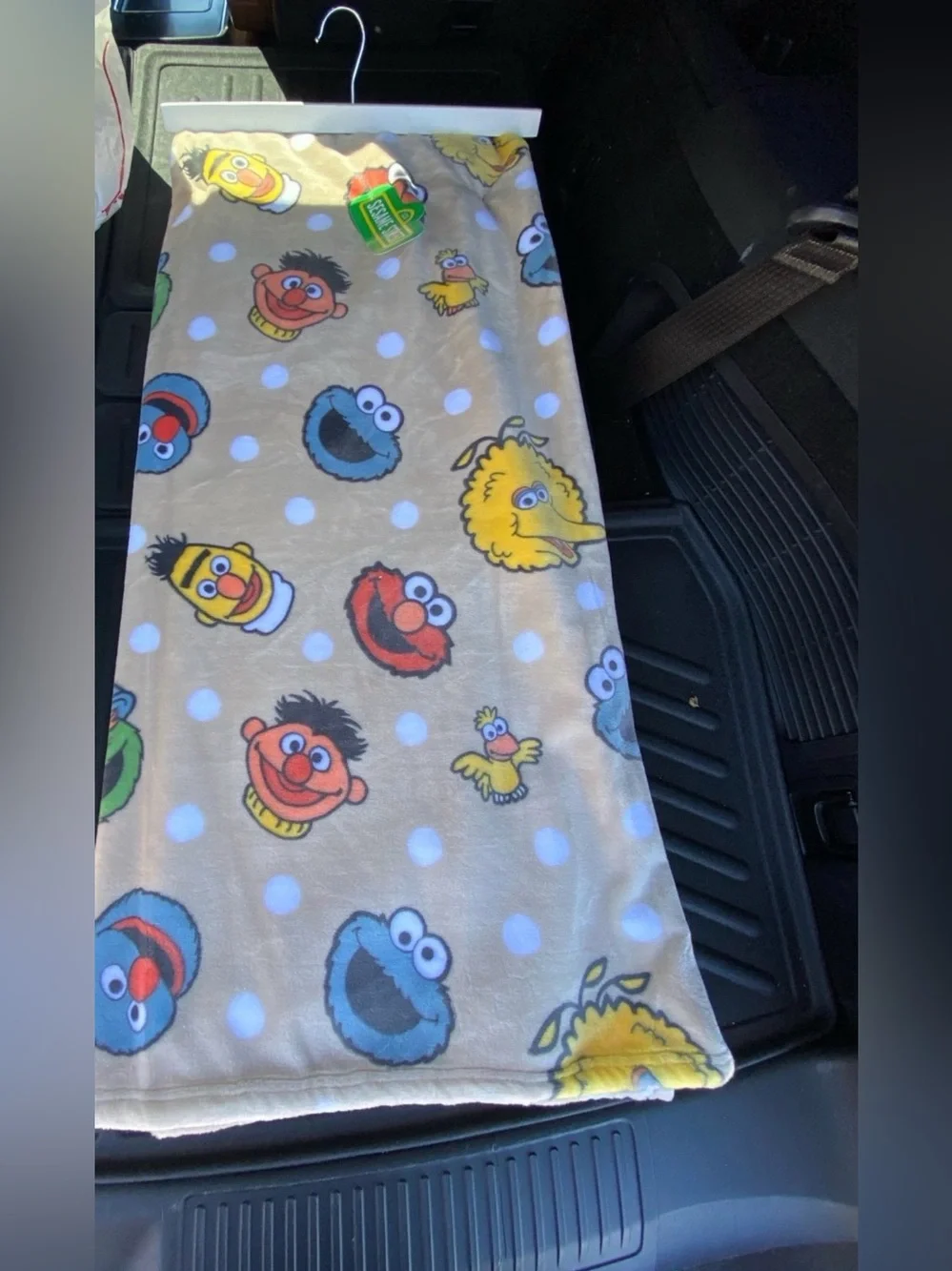 Sesame Street oversize plush throw - incredibly soft!  Brand new 60”